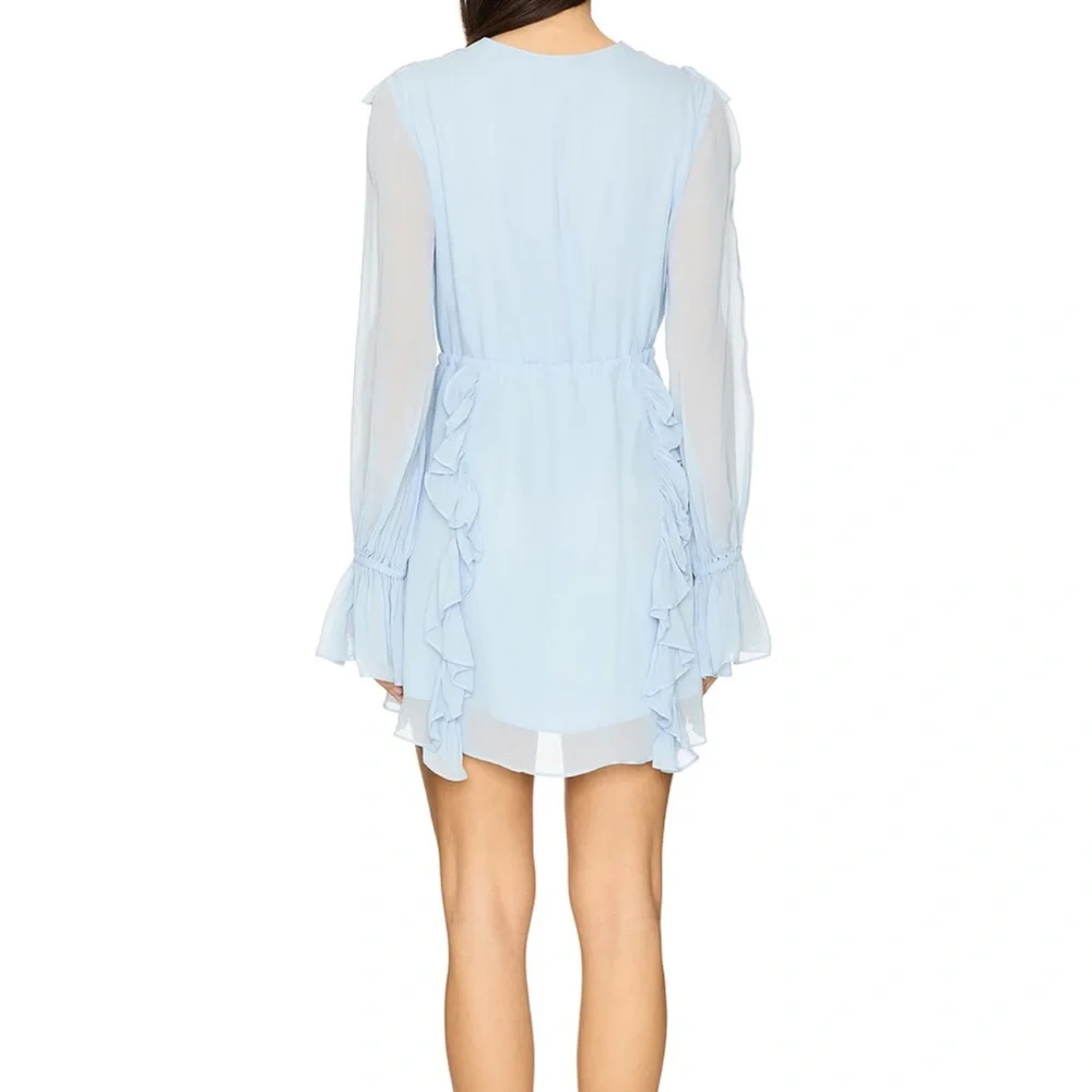 Emory Ruffle Mini Dress - Picture 3 of 3